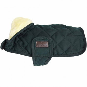 Dog Blanket Original Green