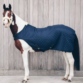 Walker Rug 160g Navy