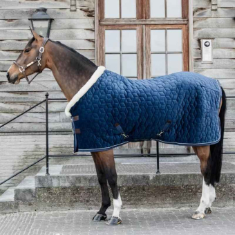 Competition Rug Velvet Navy