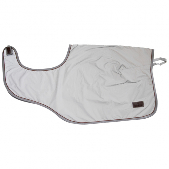 Exercise Sheet Reflective Silver