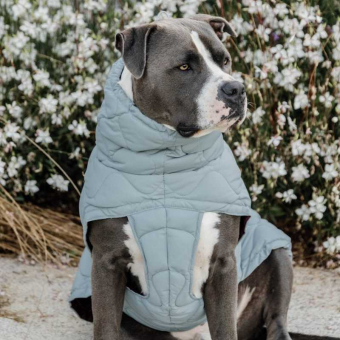 Dog Coat Winter Pina 160g Blue