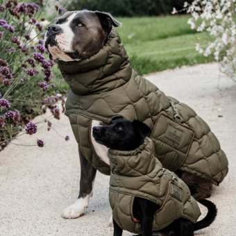 Dog Coat Winter Pina 160g Green