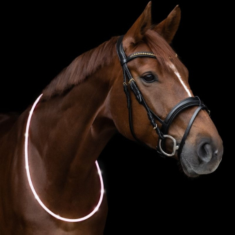 Neck Ring LED Light White