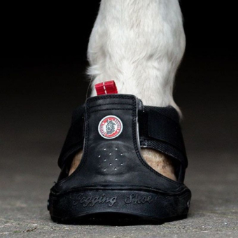 Hoof Boot Trekking Shoe Regular Black