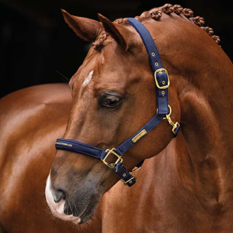 Halter HS Equestrian Life Navy Blue