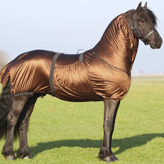 Sweet Itch Rug Big Neck Brown