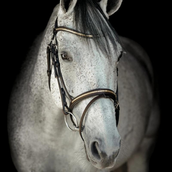 Bridle HS Clincher Aachen Brown