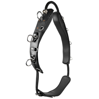 Lunge Girth with Arc HS Black
