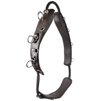 Lunge Girth with Arc HS Brown