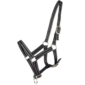 Foal Halter HS Reflective Black