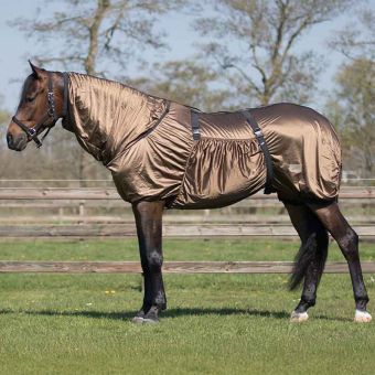 Sweetitch Rug UV-Resistant Brown