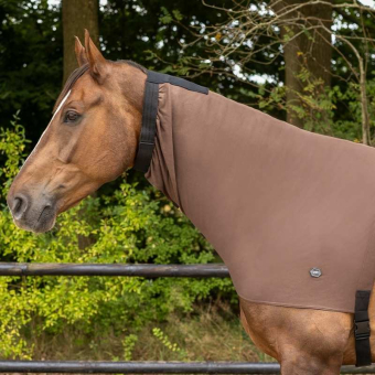 Sweet Itch Neck Cover Elastic Brown