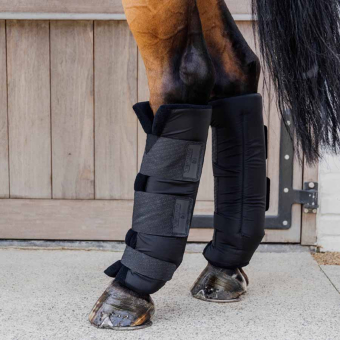 Stable Boots PROtect Classic Hind Black