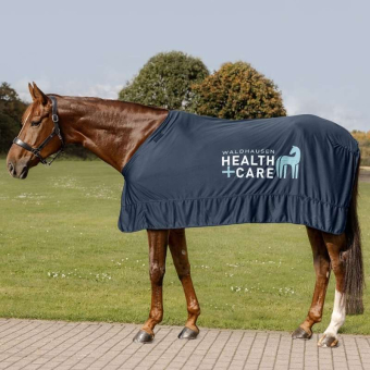Cooling Rug Ice Layer Navy Blue