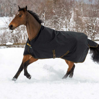 Winter Rug Irish Turnout 150g Black/Gold