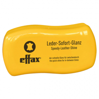 Effax Boot Sponge with Shine