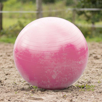 Horse Soccer Pink