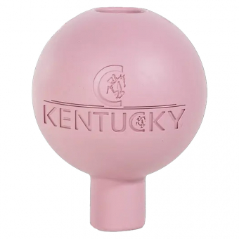 Rubber Ball Lead & Wall Protection Old Rose