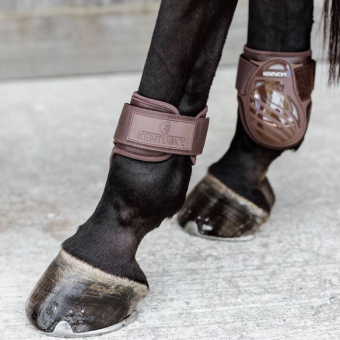 Young Horse Fetlock Boots Shield Brown