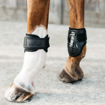Young Horse Fetlock Boots Shield Black