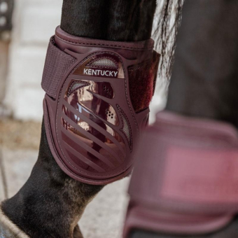Fetlock Boots Young Bordeaux