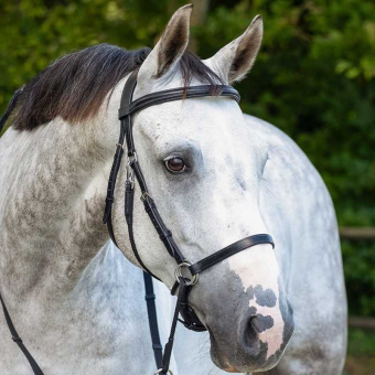 Bitless Bridle Ceto Black