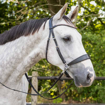 Bitless Bridle Sunna Black