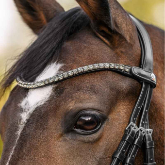 Browband Shine X-Line Black/Silver 