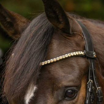 Browband Shine X-Line Black/Toffee