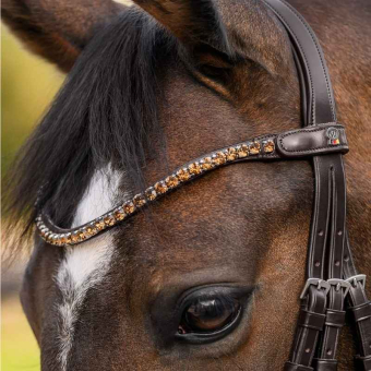 Browband Shine X-Line Brown/Beige