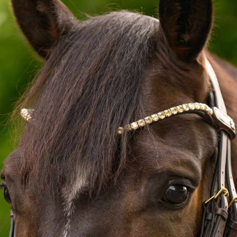 Browband Shine X-Line Brown/Toffee