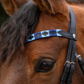 Browband Polo X-Line Black/Blue