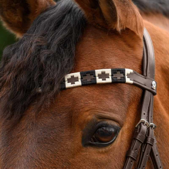 Browband Polo X-Line Brown/Beige