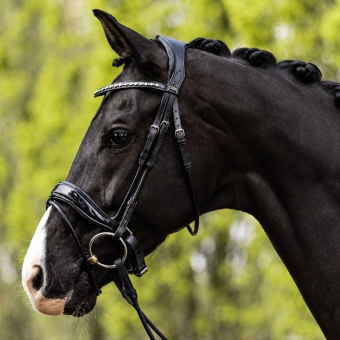Anatomic Dressage Bridle Comfort Fit Double with Reins Black