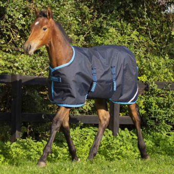 Foal Rug Amigo Ripstop 200g Navy Blue/Light Blue