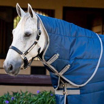 Neck Amigo Ripstop Insulator 210D 100g Navy/Grey