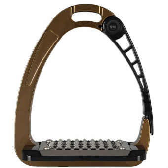 Stirrup Iron Arena Bronze
