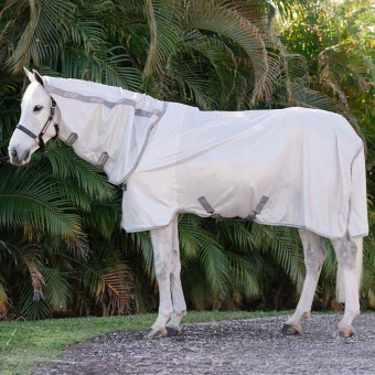Fly Rug Amigo Integrated Silver/Grey