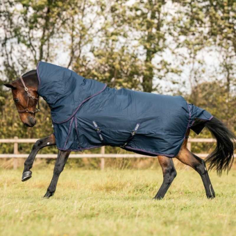 Winter Turnout Combo Rug 200g 600D Navy Blue