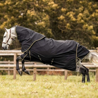 Mid Season Turnout Plus Combo Rug 100g 1200D Black
