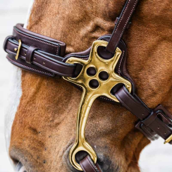 Hackamore Dyon Collection Brown