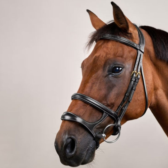 Double Noseband Bridle Dyon Collection Black