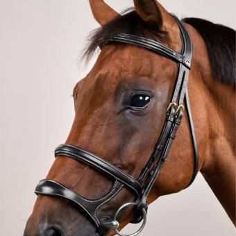 Double Noseband Bridle Dyon Collection Black