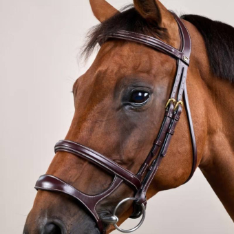 Double Noseband Bridle Dyon Collection Brown