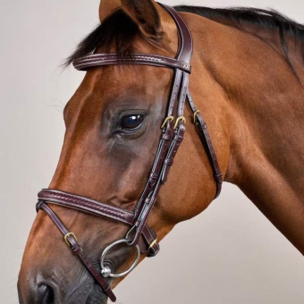 Flash Noseband Bridle Plaited Dyon Collection Brown