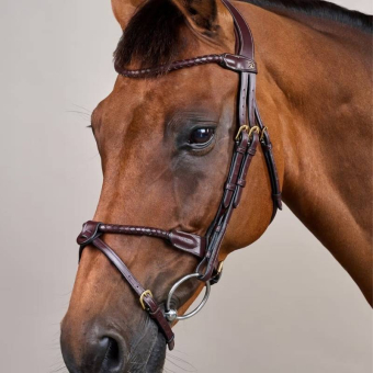 Flash Noseband Bridle Braided Dyon Collection Brown