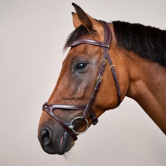 X-Fit Anatomical Bridle DC Brown