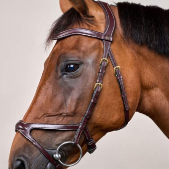 X-Fit Anatomical Bridle Dyon Collection Brown