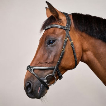 X-Fit Anatomical Bridle DC Black