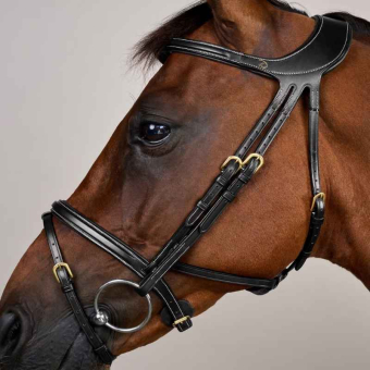 Bridle Difference Dyon Collection Black